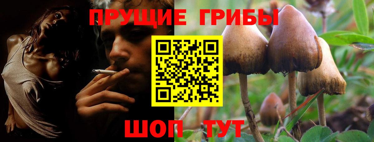 где можно купить наркотик  Галлюциногенные грибы прущие грибы  Кыштым  Вход с VPN  Галлюциногенные грибы GOLDEN TEACHER 