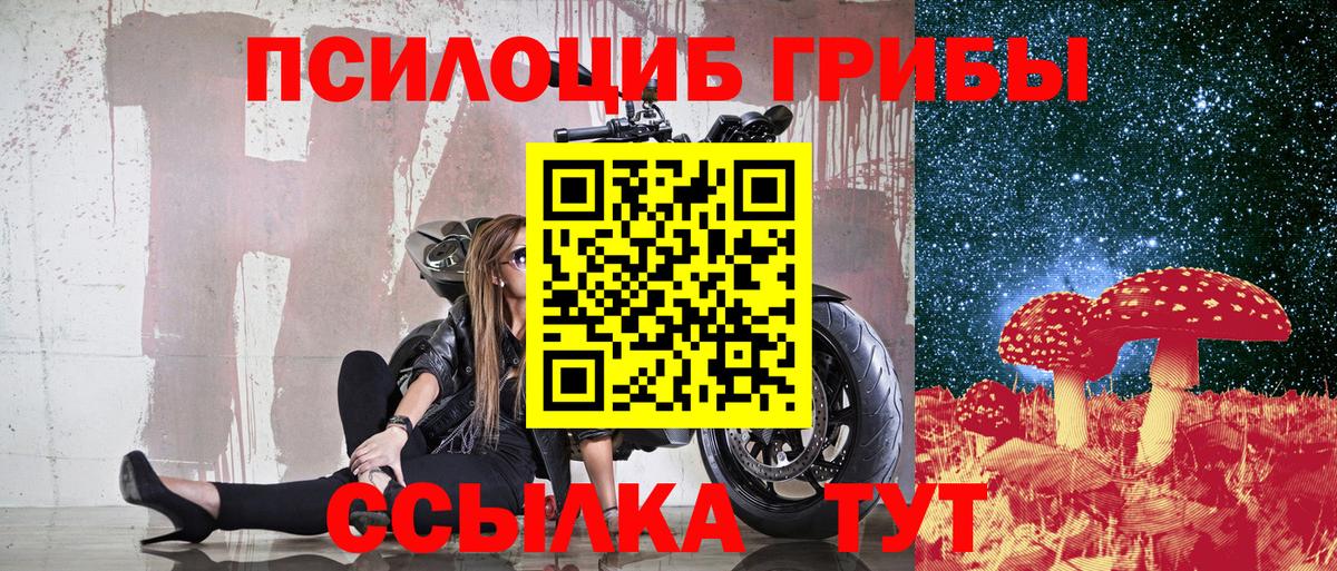 Псилоцибиновые грибы Cubensis Кыштым